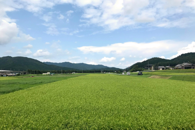 丹波市の風景