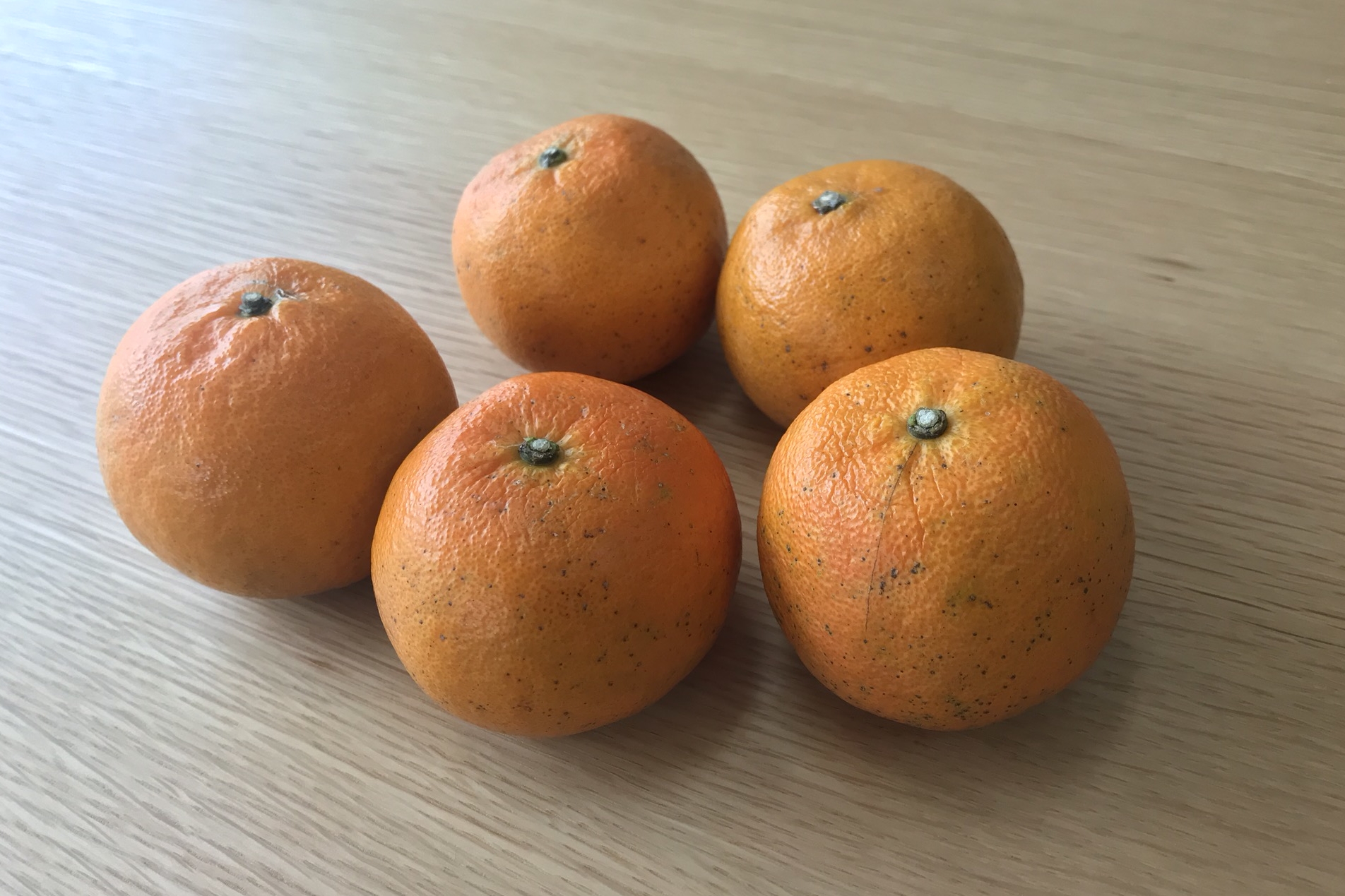 徳之島のタンカンで、気分もからだもリフレッシュ。